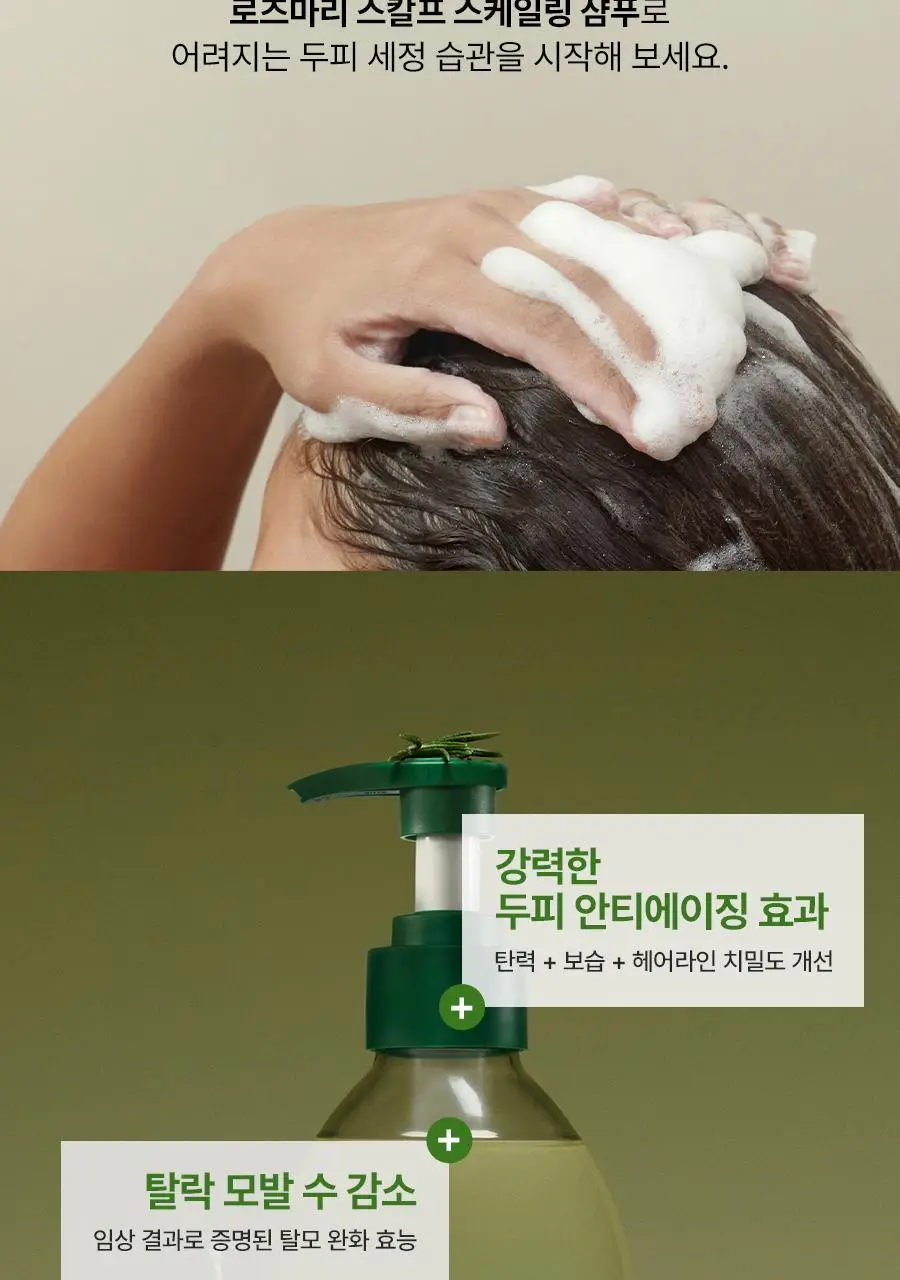 [두피강화/탈모증상완화] 아로마티카 로즈마리 스칼프 스케일링 샴푸 400ml (단품/더블세트/리필) 상세페이지 5